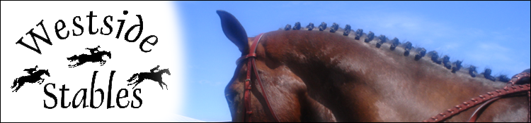 Horses for Sale or Lease
